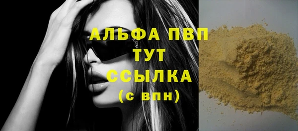 стаф Володарск