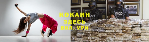 мдпв Волосово