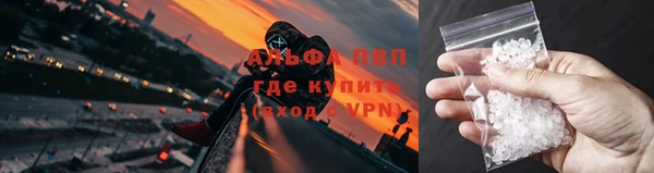 стаф Володарск