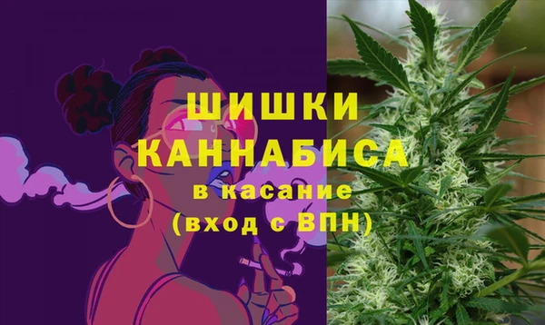 стаф Володарск