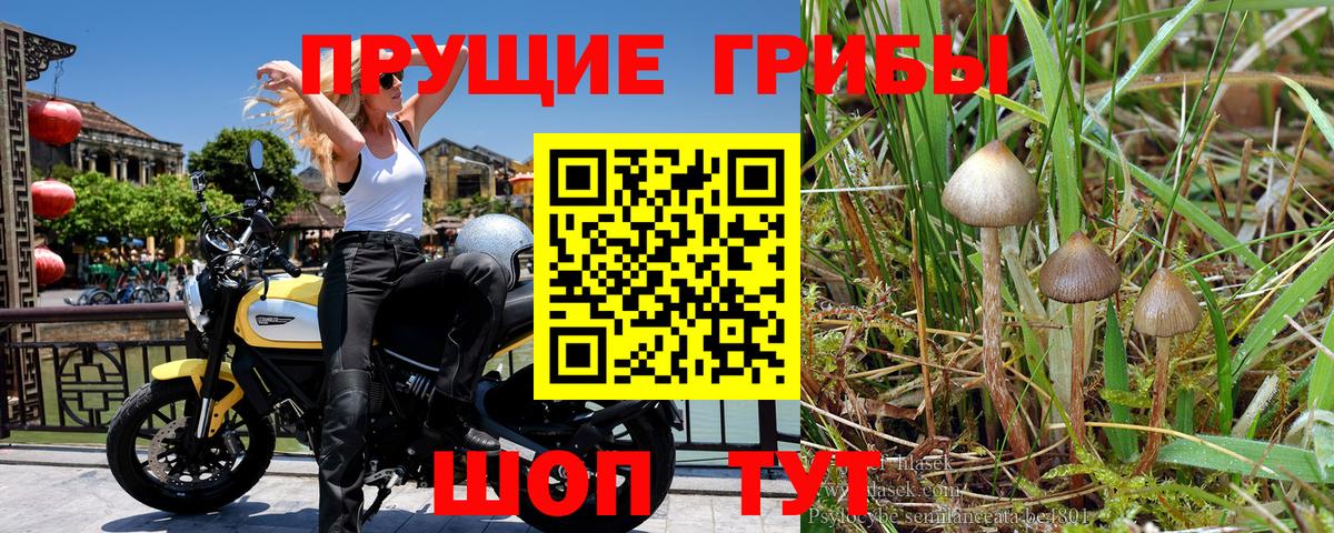 Псилоцибиновые грибы Psilocybe  Вход с VPN  Галлюциногенные грибы Psilocybine cubensis  Можайск 