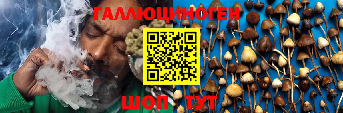 Псилоцибиновые грибы мицелий Можайск